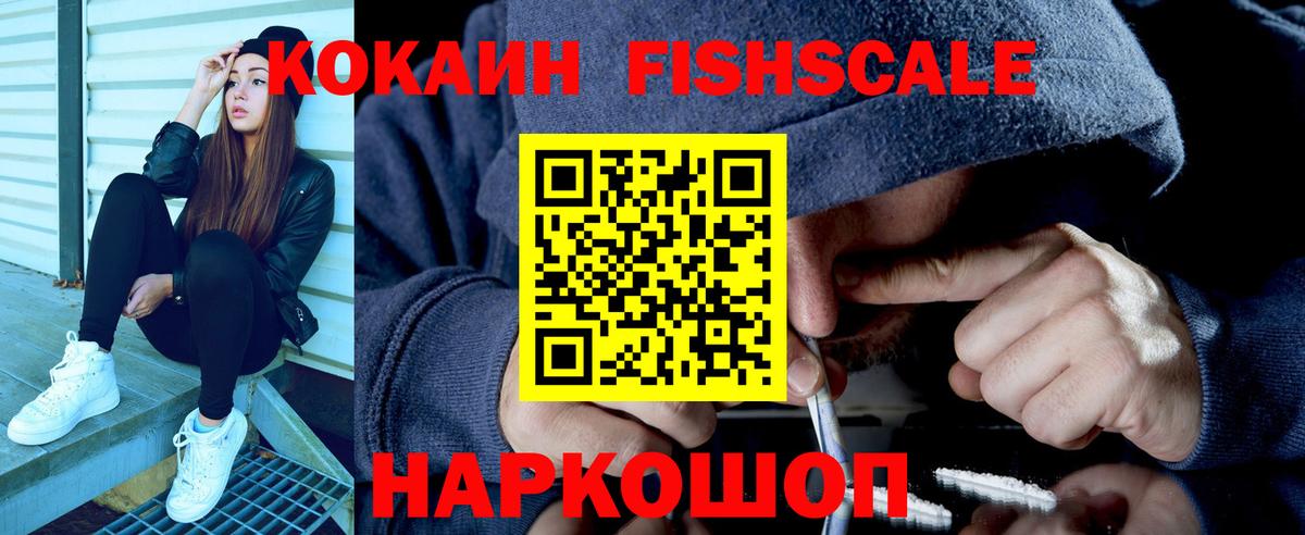 Кокаин Fish Scale  Cocaine Перу  как найти наркотики  Вход с VPN  Северобайкальск 