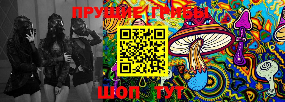 Галлюциногенные грибы MAGIC MUSHROOMS  Вход с VPN  Северобайкальск 