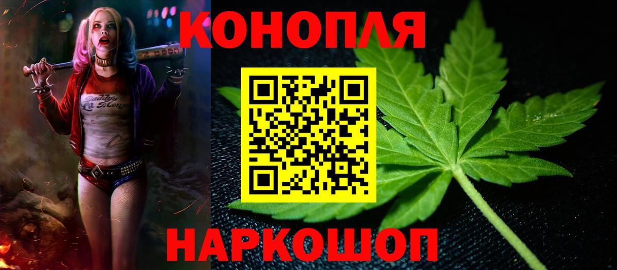 Бошки марихуана OG Kush  Канабис план  Северобайкальск  Вход с VPN  Марихуана семена 